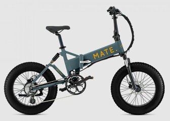 Mate X e-Bike