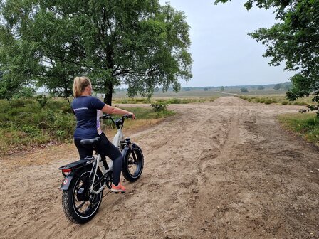 Diablo XR1 Fashion Grey Fatbike