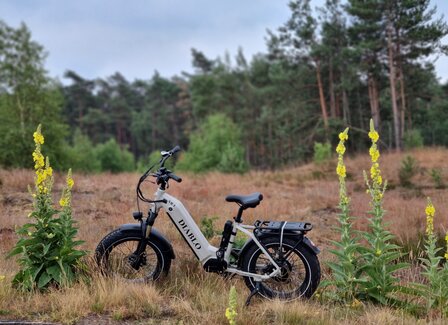 Diablo XR1 Fashion Grey Fatbike