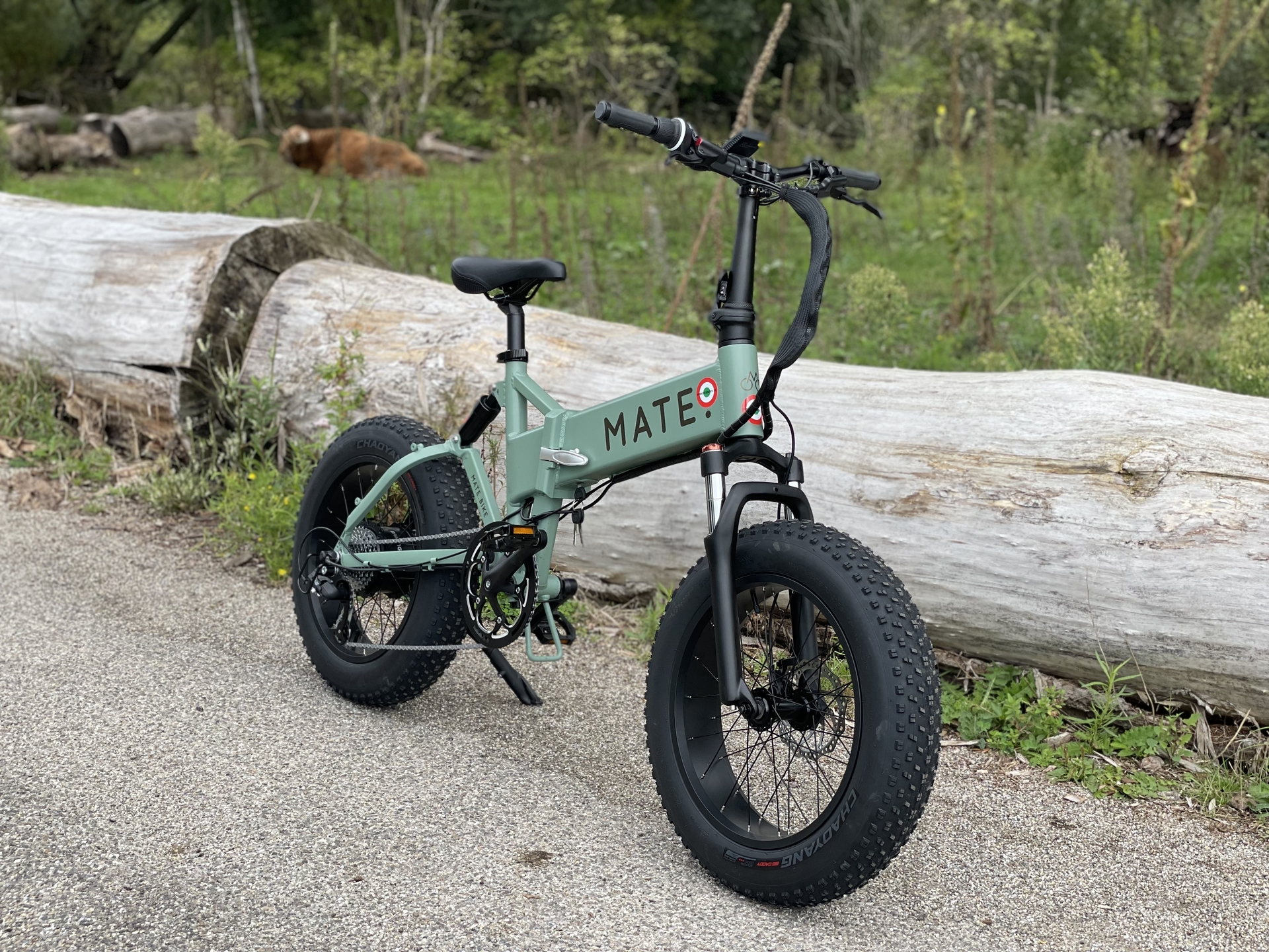Mate x electric bike hotsell
