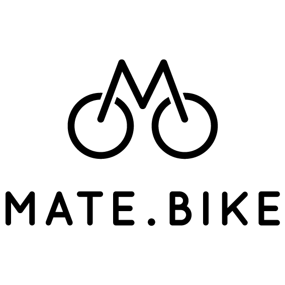 Mate X logo